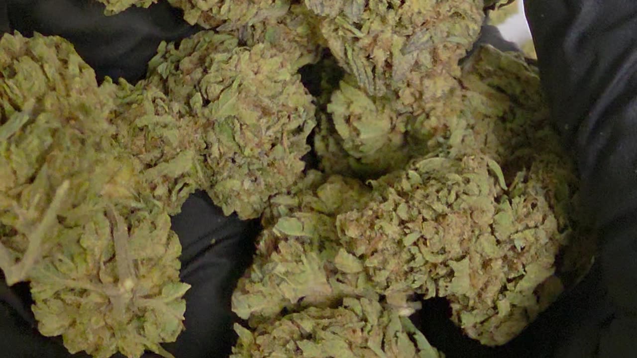 THC-A Flower Diamond