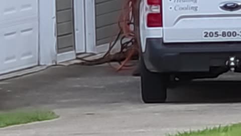 Skip Jimmy Walker ex Army gangstalking NOISE AND CHEMICAL ASSAULT