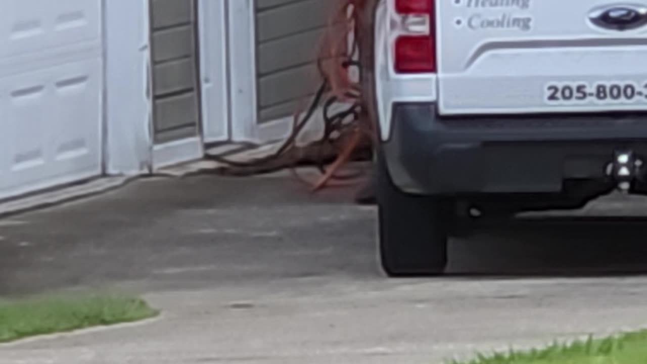 Skip Jimmy Walker ex Army gangstalking NOISE AND CHEMICAL ASSAULT