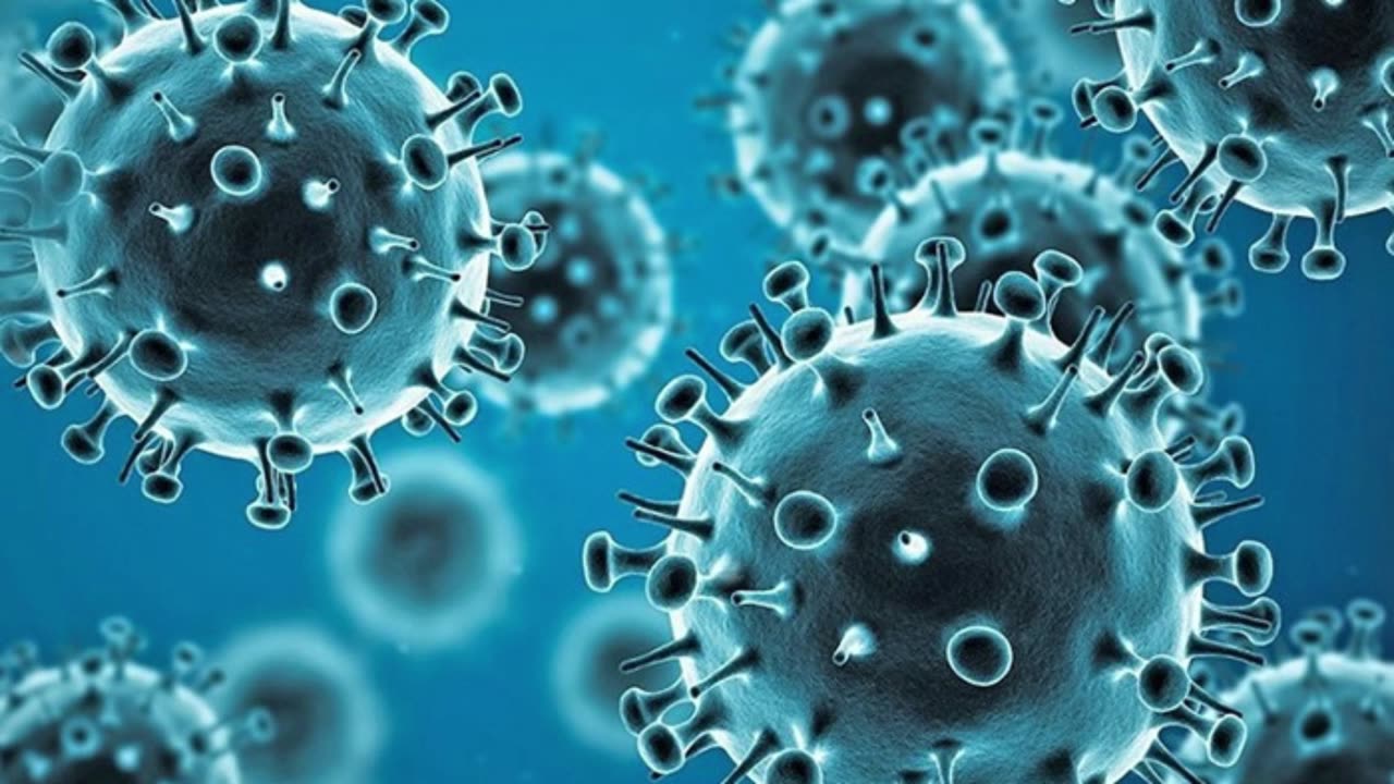 AI流感預測 優於世衛組織