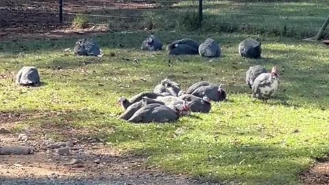 I don't believe what I'm seeing!!!