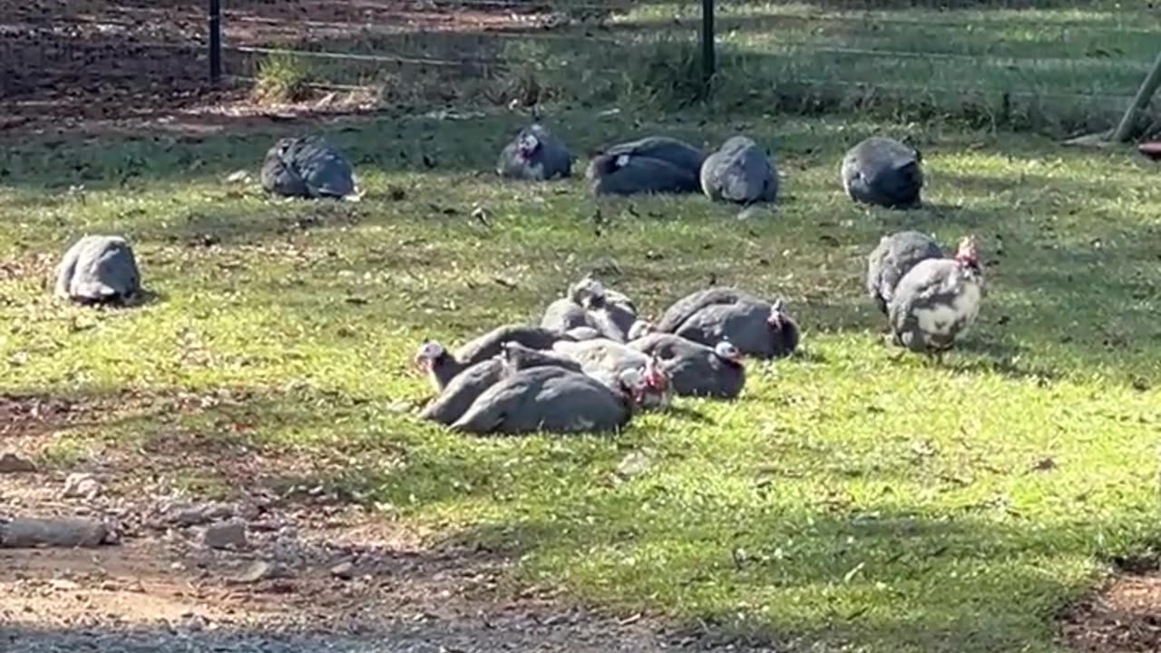 I don't believe what I'm seeing!!!