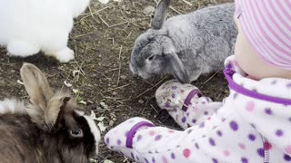 Baby Kayla Reunites With the Bunny Gang 🐰💕