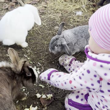 Baby Kayla Reunites With the Bunny Gang 🐰💕