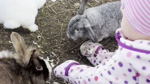 Baby Kayla Reunites With the Bunny Gang 🐰💕