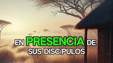 🙏✨Evangelio de hoy Viernes, 26 de Septiembre del 2025✨🙏