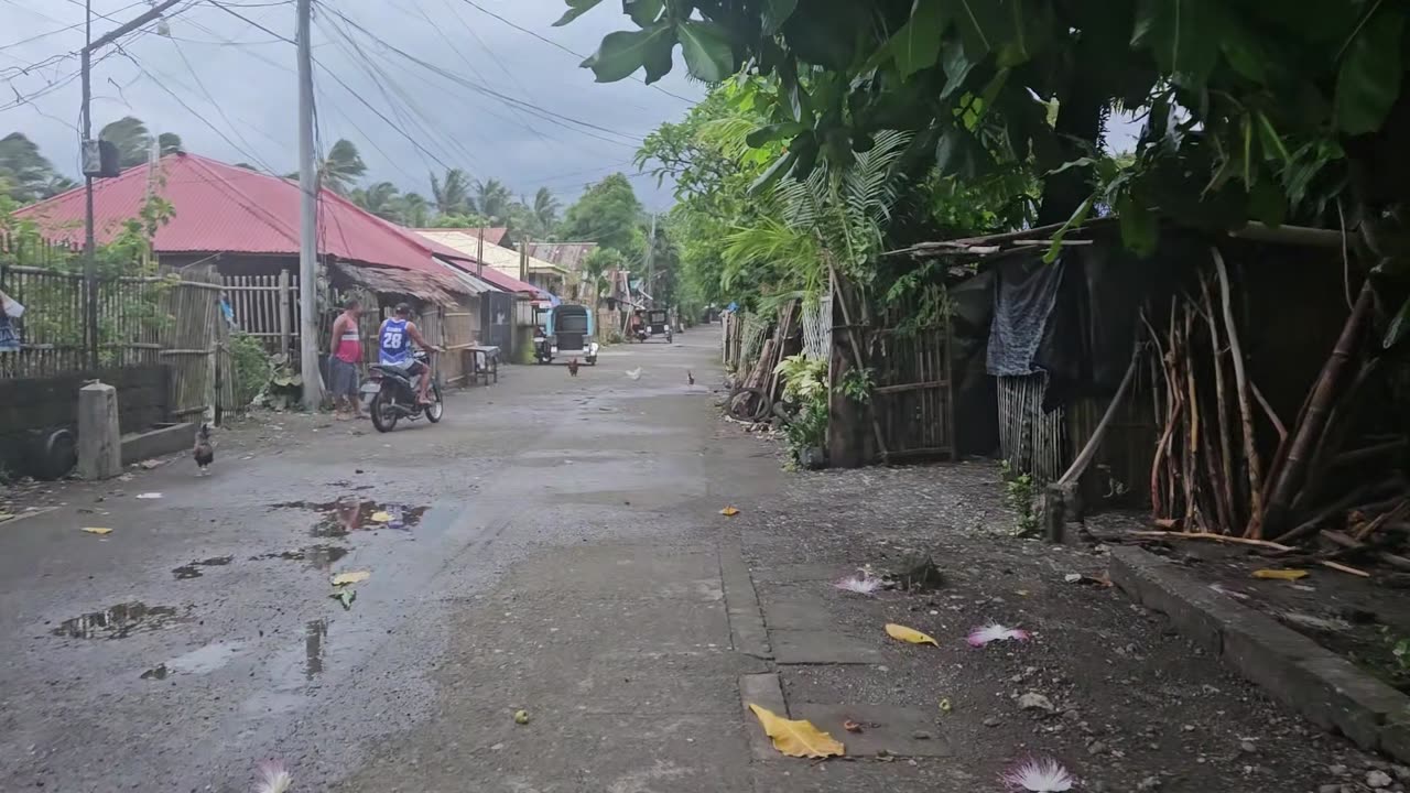 A Walk Through the Kindest Street in the Province