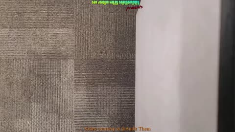 Cops Shut Down Entitled Karen_ Justice Served (720p60fps)