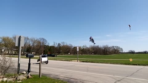 Kite in sky Union Grove