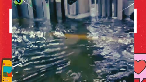 Mexico's city subway turned into the titanic