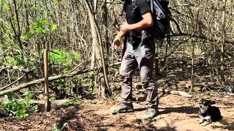 Real Jungle Hunting – डरावना और सच्चा