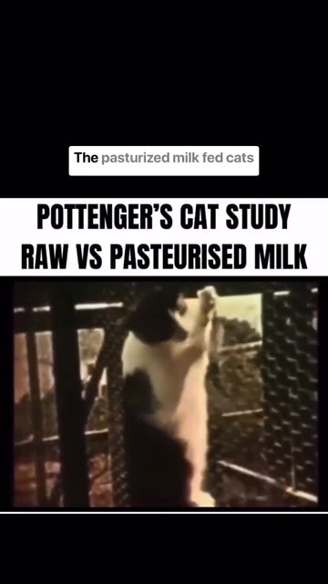 Pottenger's Cat Study🐈