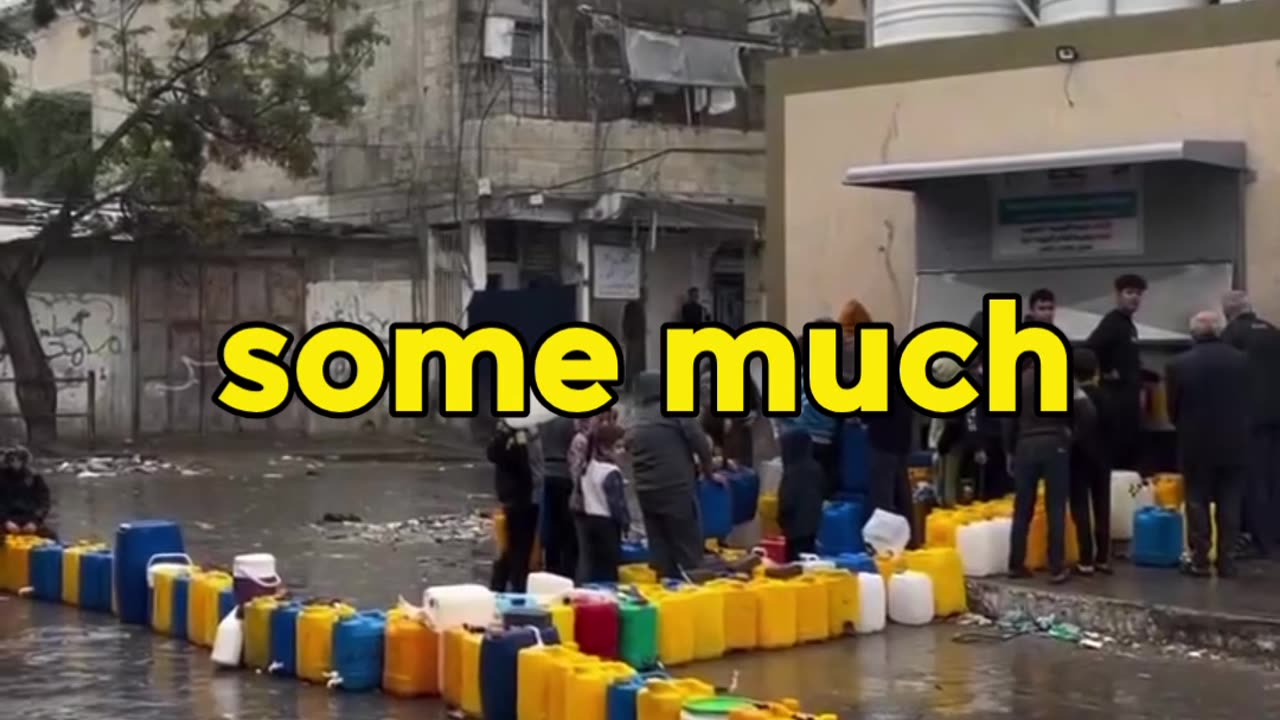 Gaza Week 8 - The Genocide