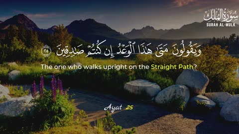 Surah Al-Mulk | Your Shield in the Grave | A Nightly Protection from Allah