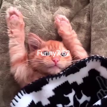 When Minnie wakes up