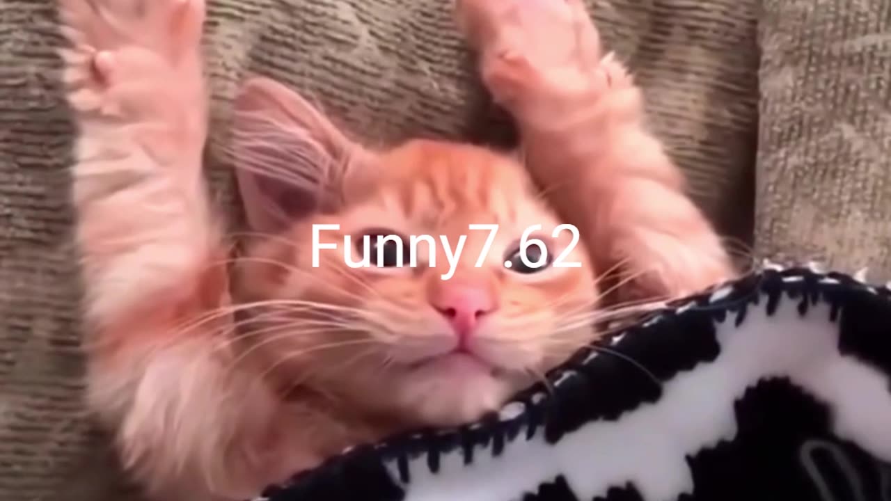 When Minnie wakes up