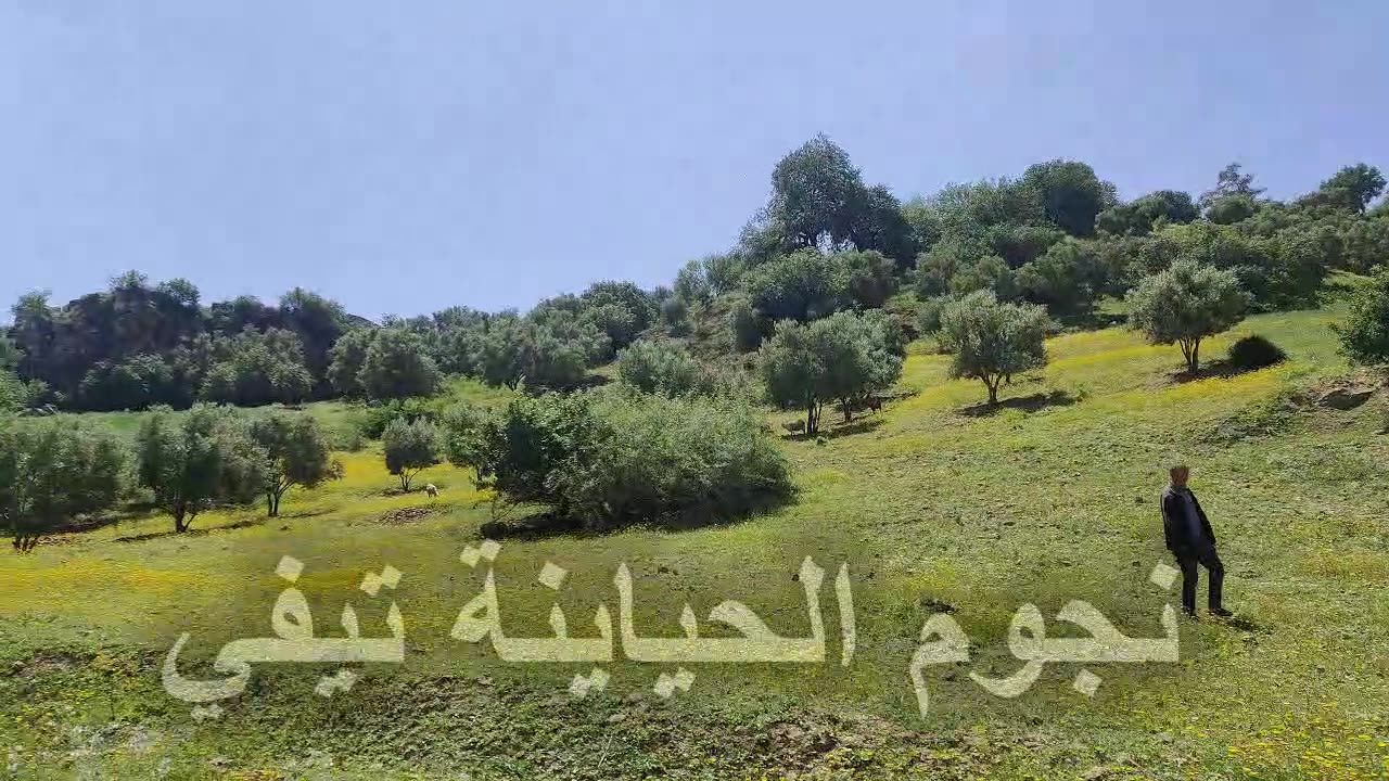 طبيعة خلابة من منطقة الحياينة بنغمة حياني ونفتخر بيها طريق هوارة وتيسة2025 HIYANI NEFTAKHER BIHA