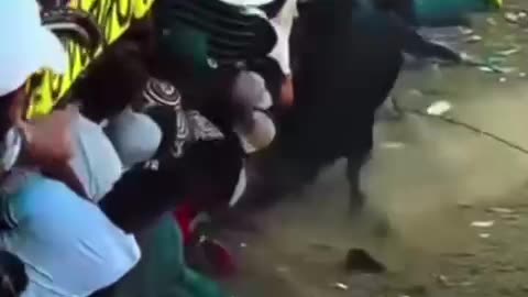 HERIDO EN CORRALEJA DE SAN JUAN NEPO