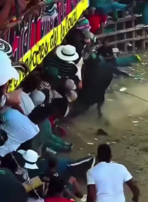 HERIDO EN CORRALEJA DE SAN JUAN NEPO