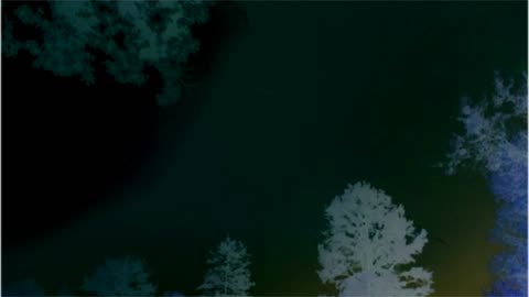 Lightning negative