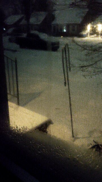 Snow, Dearborn, Michigan, 1/25/26, About 6:07 A.M.