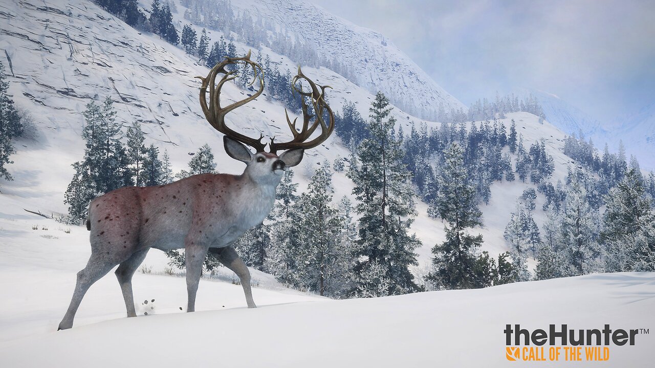 The Hunter - Call of the Wild - Askiy Ridge Hunting Preserve