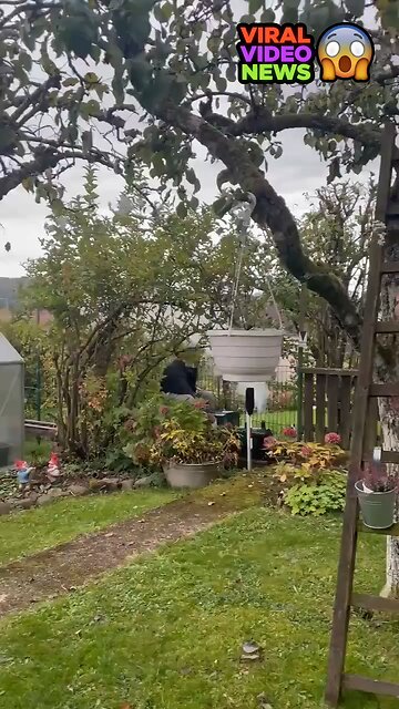 Martin Springer, a 70-year-old German resident