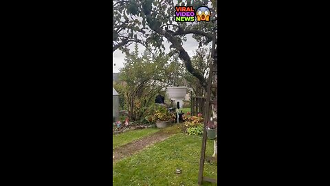 Martin Springer, a 70-year-old German resident