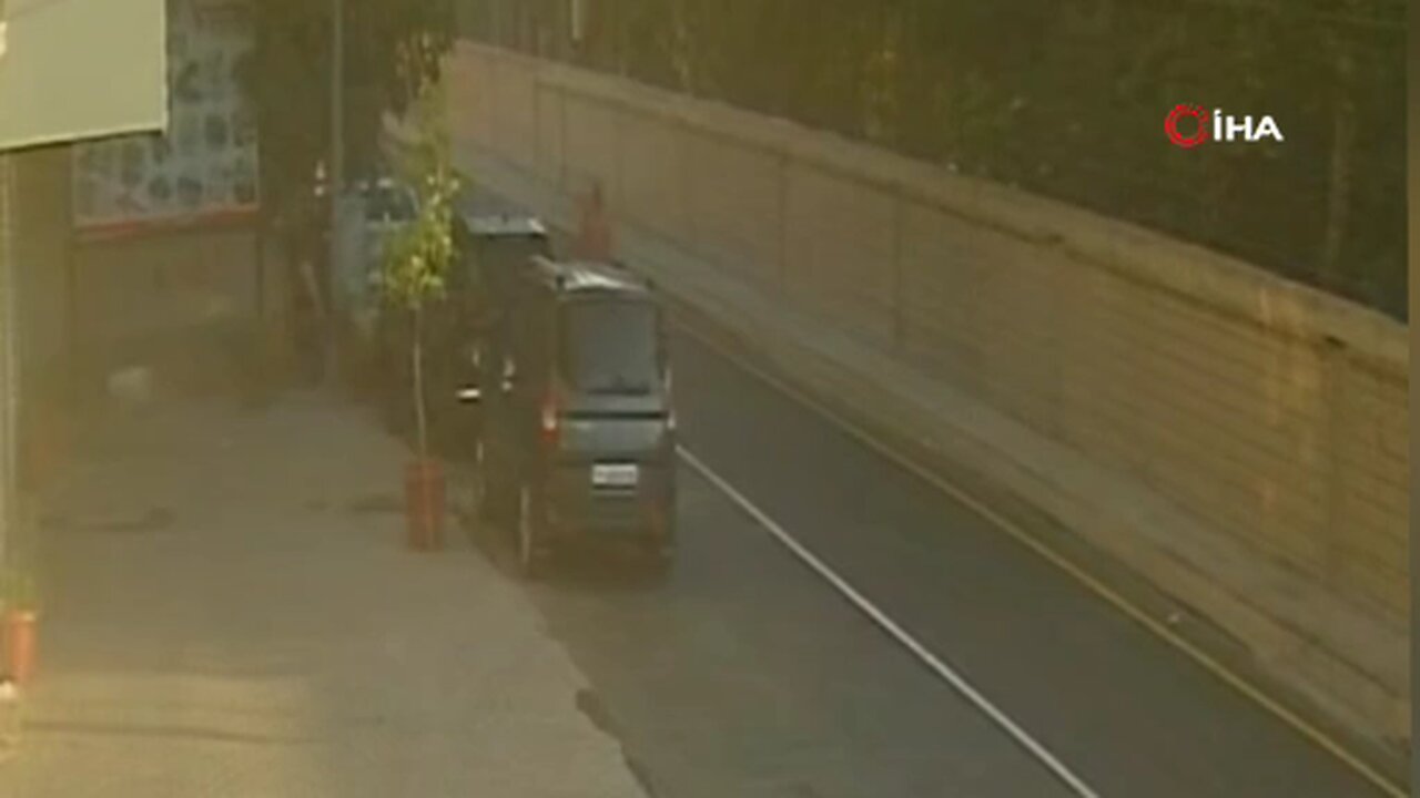 İnatçı keçi saksıdaki ağacı devirdi