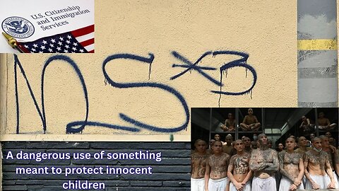 Visa meant for kids ended up being given to violent criminal adults