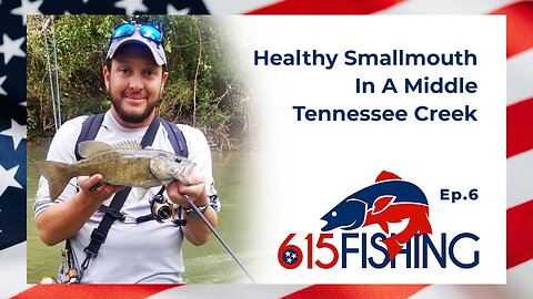 Healthy Smallmouth In A Middle Tennessee Creek | Smallmouth Hitting 3 Inch Swimbaits