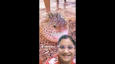 Kamala ka video