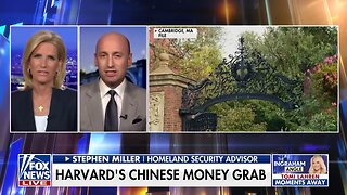 'FOREIGN CASH': Stephen Miller ridicules judge's Harvard ruling