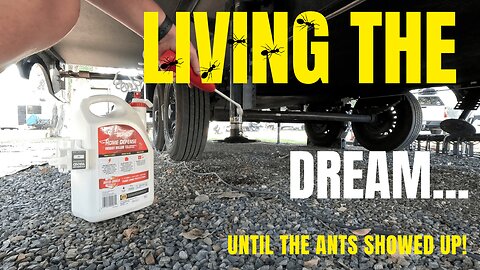 ANT INVASION in Our RV! 🐜 How We Got Rid of Them FAST!