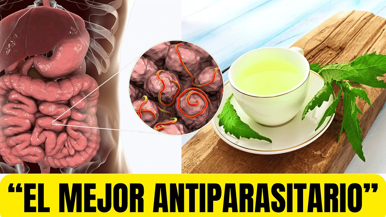 EPAZOTE: EL MEJOR ANTIPARASITARIO