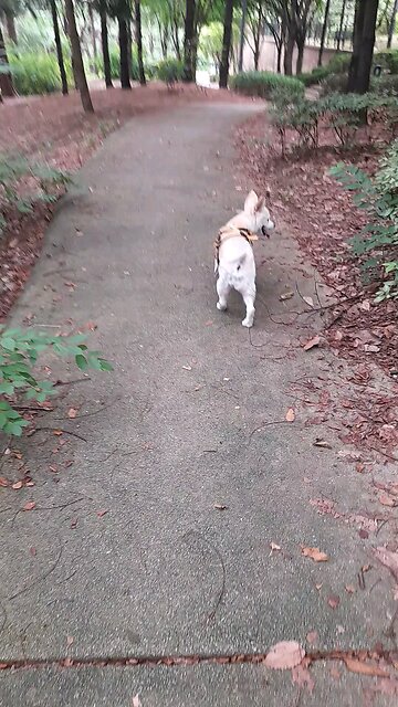 20250811. My steps are directed by the LORD.