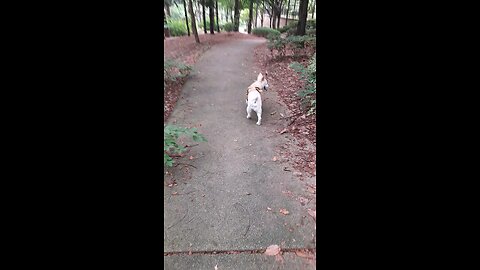 20250811. My steps are directed by the LORD.