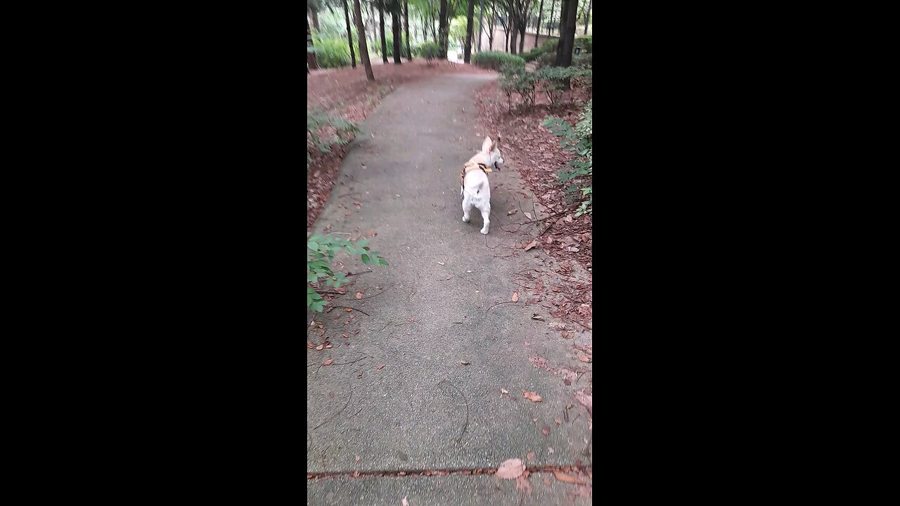 20250811. My steps are directed by the LORD.