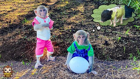 YiYi and YinYin saw a strange egg while looking for Un In