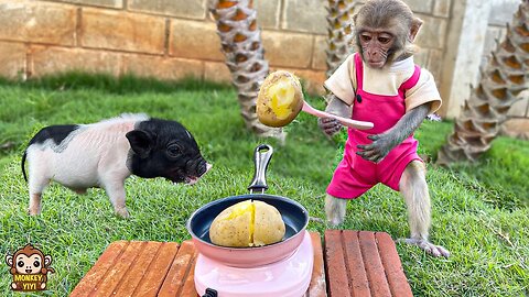Monkey baby YiYi takes care of herself and cooks potatoes for Un In