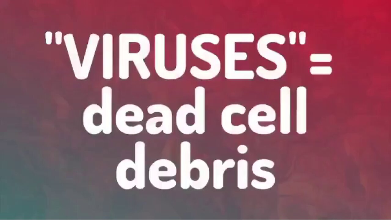 Viruses are Not Real
