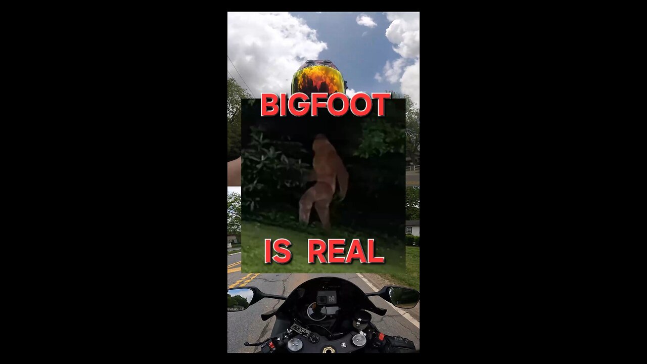 I Found Sasquatch!