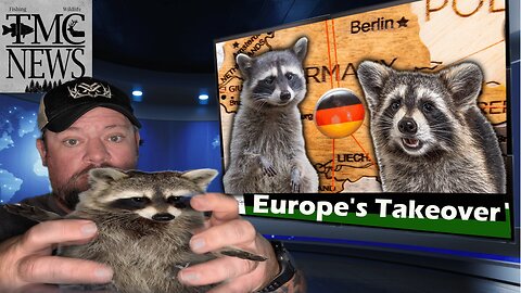 The Great Raccoon Takeover: Surprising Stories from Europe