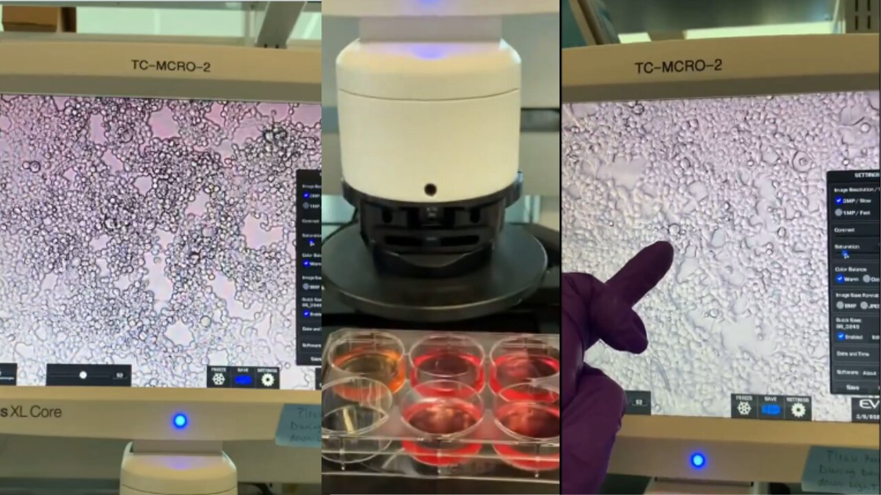 The Largest Public Experiment conducting Controls of the Virological Methodology with Jamie Andrews