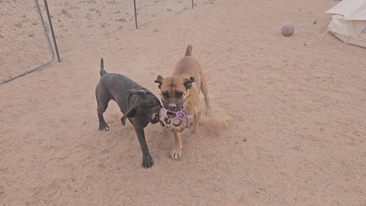 Hobo protection training
