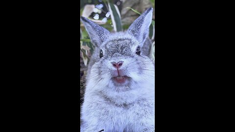 Just finished my workout… now smile! 🐰💪