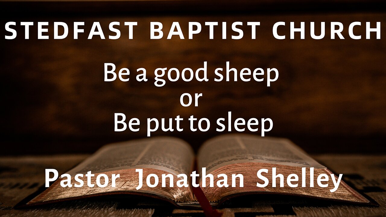 Be a good sheep or be put to sleep - Pastor Jonathan Shelley | Stedfast Baptist Church