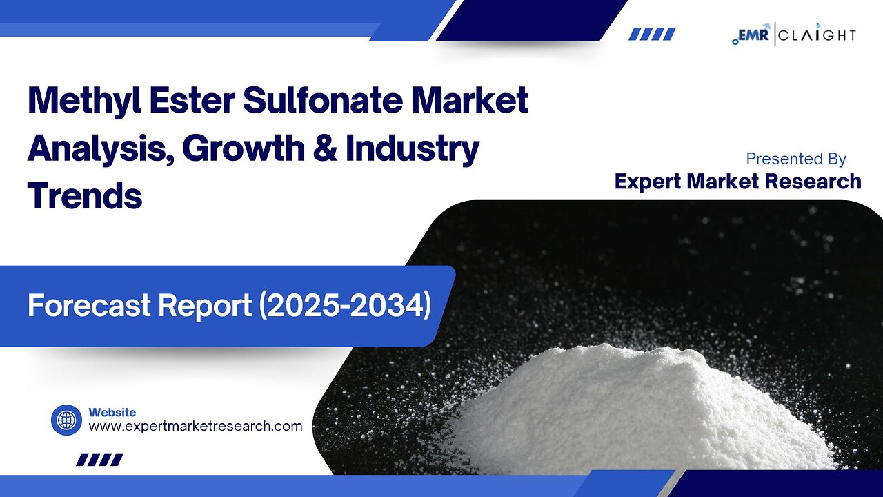 Methyl Ester Sulfonate Market| Trends, Growth & Forecast 2025-2034