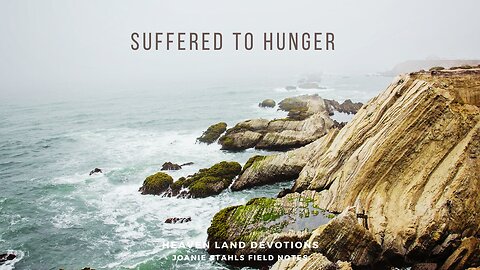 Heaven Land Devotions - Suffered To Hunger