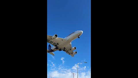 King of sky